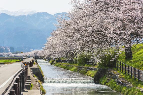 Kurobe River(1)