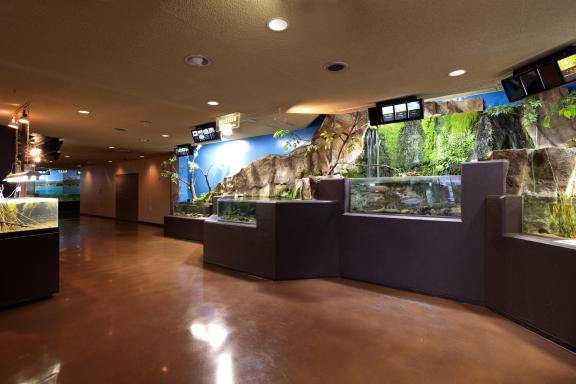 Uozu Aquarium(1)