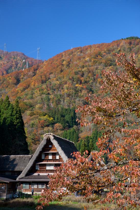 Suganuma Gassho-style Village(30)