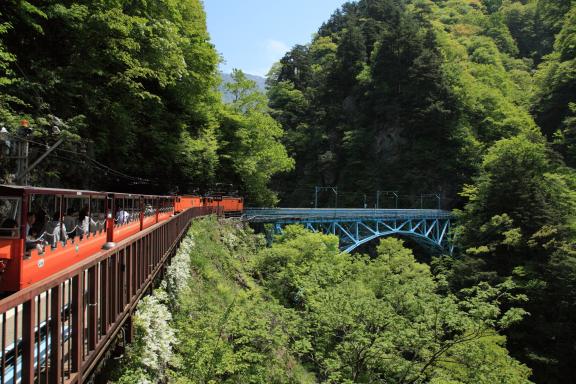 Kurobe Gorge Trolly Train(3)