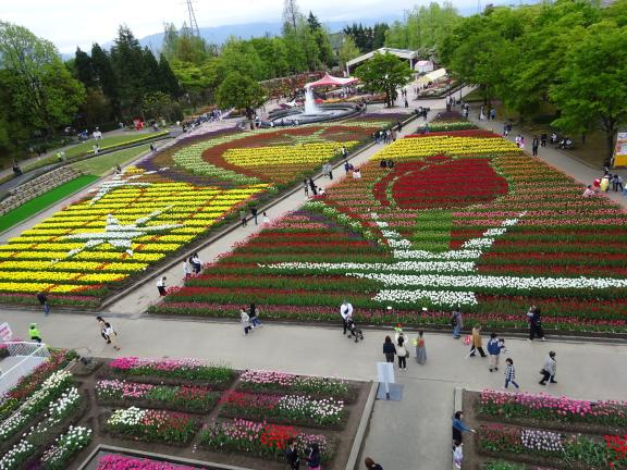 Tonami Tulip Fair(17)