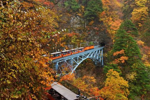 Kurobe Gorge Trolly Train(23)