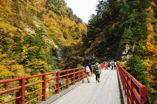 Kurobe Gorge Trolly Train(24)