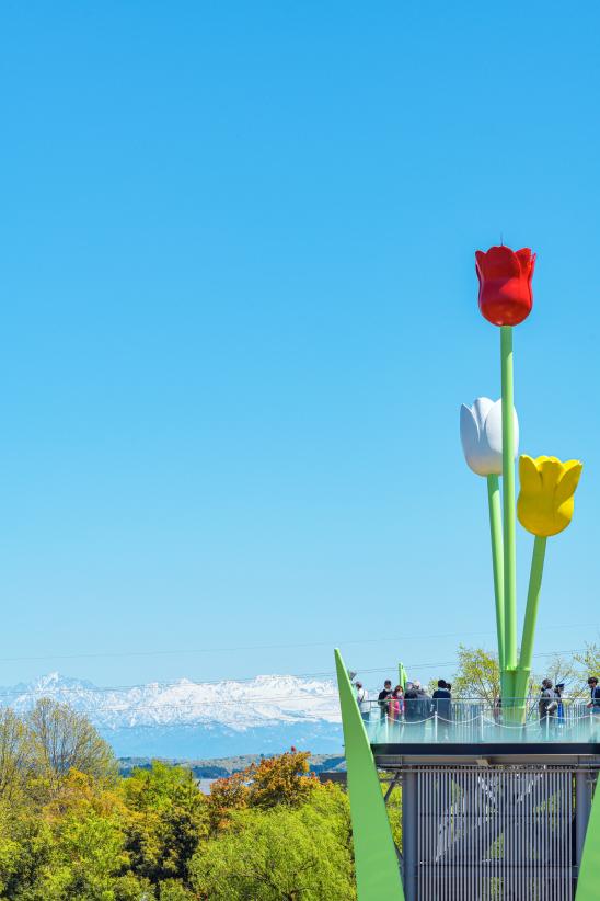 Tonami Tulip Tower②