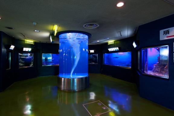 Uozu Aquarium(2)