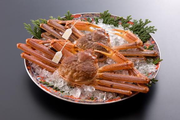 red snow crab(4)