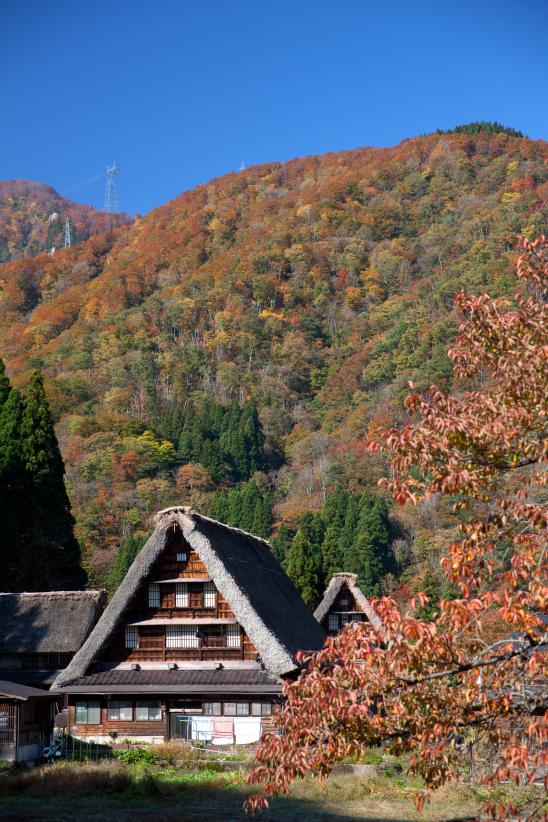 Suganuma Gassho-style Village(31)