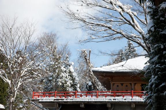 Oiwasan Nisseki-ji Temple(30)